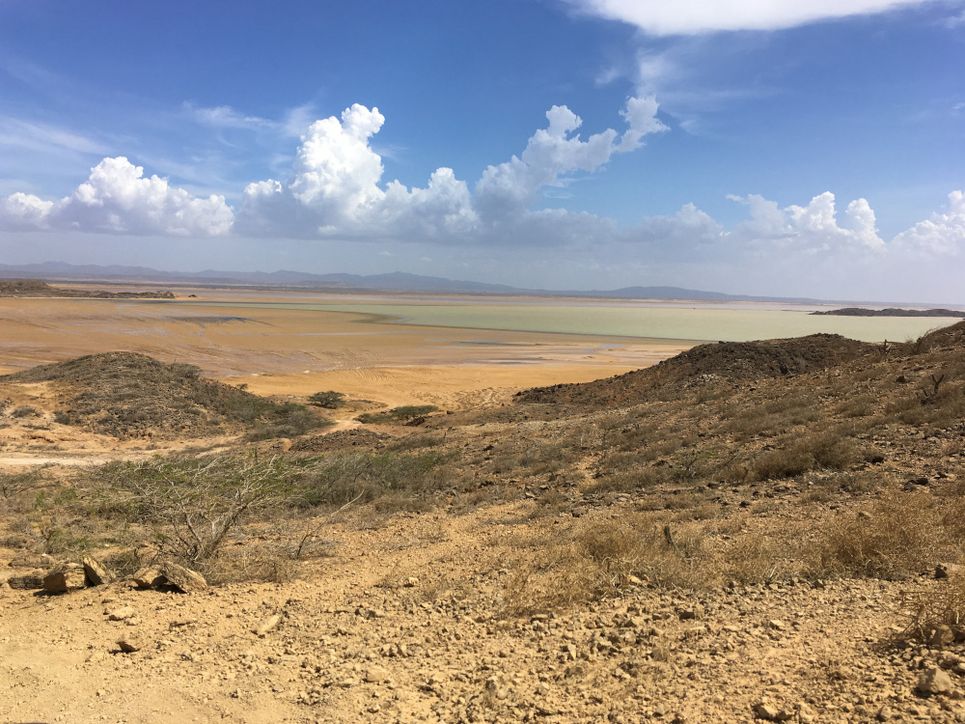 Sandige Küstenlandschaft mit Blick aufs Meer.