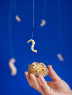 Mehlwürmer aus Plastik an Schnüren und auf einem Plastik-Cookie.