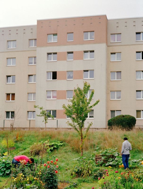 Bunter Garten vor einem mehrstöckigen Hochhaus.