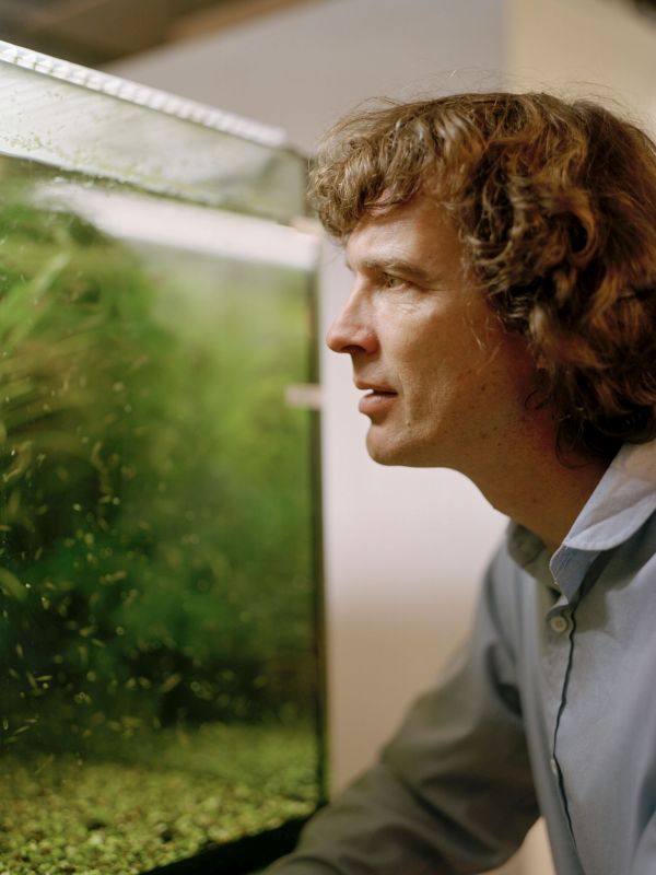 Jens Krause schaut in ein Aquarium.