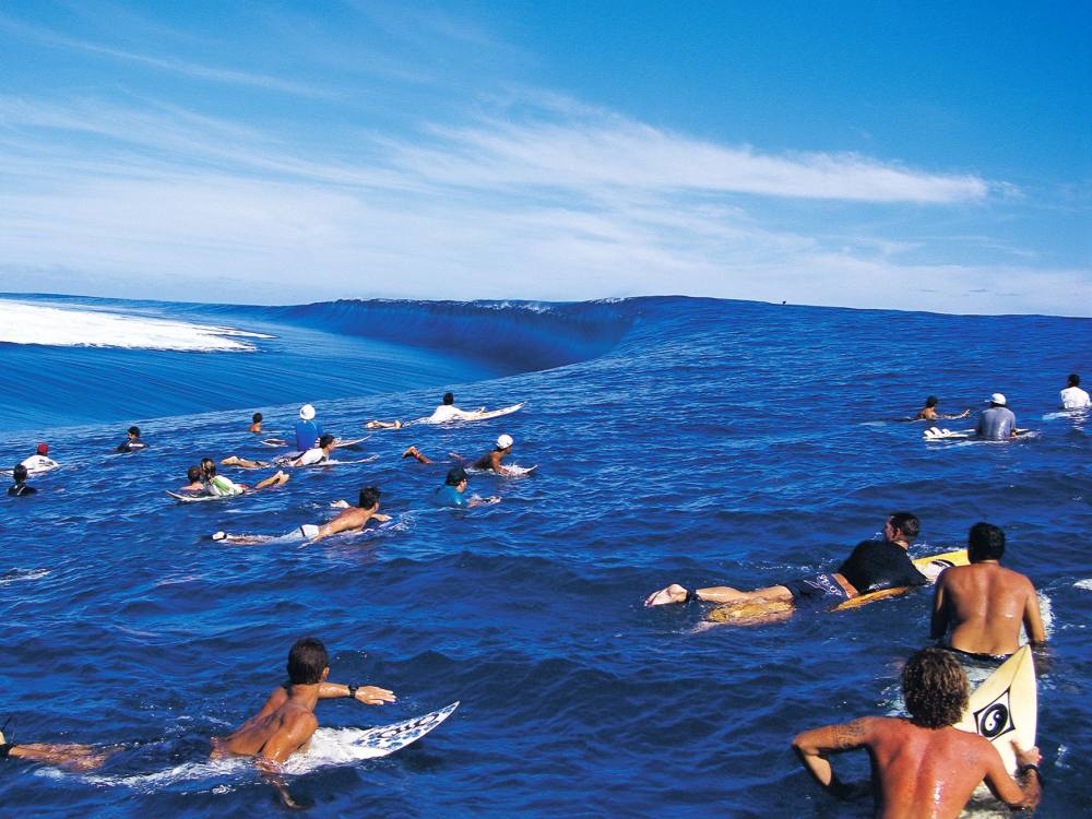 Surfende, auf ihren Brettern liegend, schwimmen auf einer großen Welle.