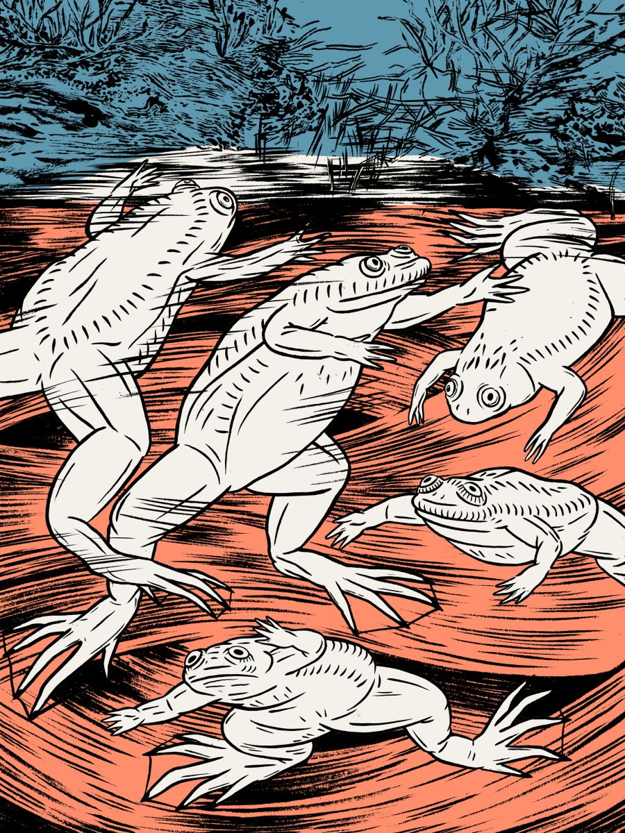 Bunte Illustration von Fröschen im Wasser.