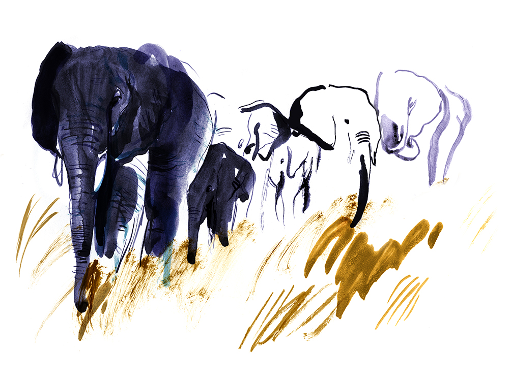 Illustration einer Elefantenherde