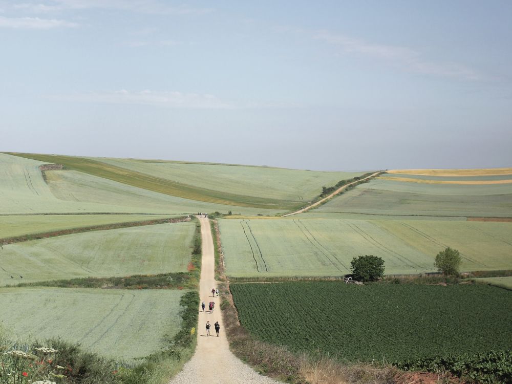 Feldweg durch grüne Felder, auf dem ein paar Personen zu sehen sind.