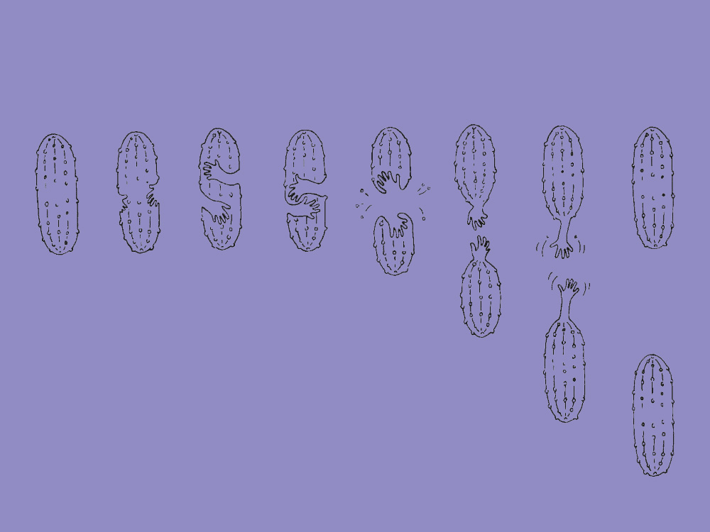 Illustration von mehreren ovalen Gebilden, die sich teilen.