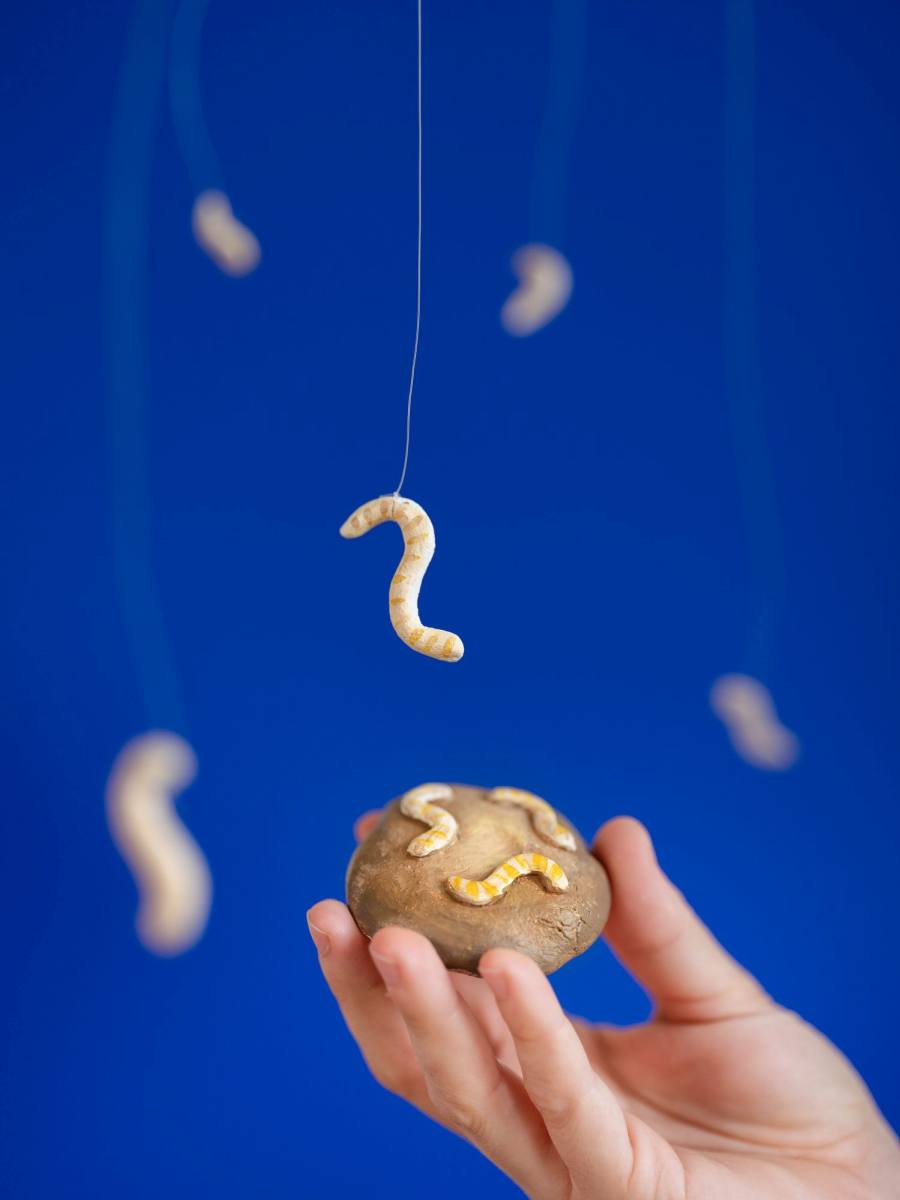 Mehlwürmer aus Plastik an Schnüren und auf einem Plastik-Cookie.