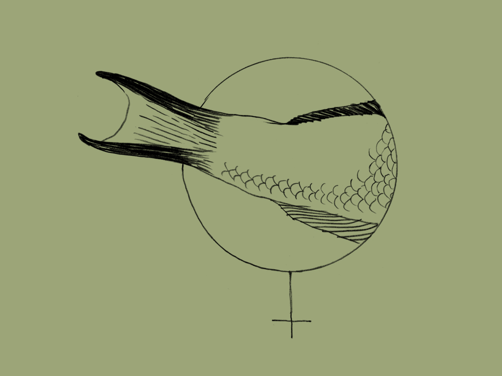 Illustration. Die Schwanzflosse eines Fisches ragt aus dem Kreis des weiblichen Gender-Symbols heraus.