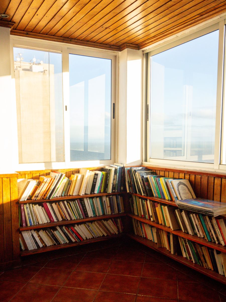 Bücherregal Bücher Lesen Meerblick Leibniz Magazin