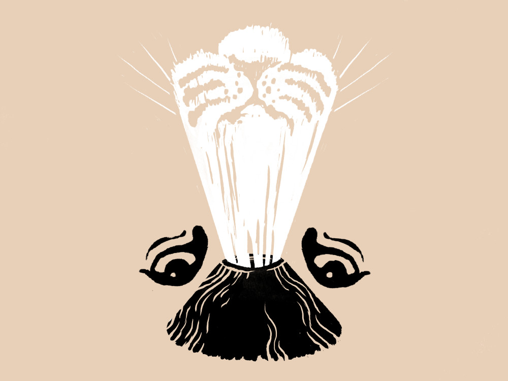 Illustration: Vulkanausbruch, der eine Tigerschnauze hervorbringt, seitlich Tigeraugen.
