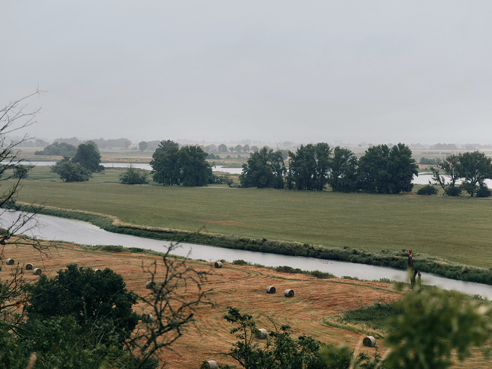 Weite Flusslandschaft an einem verregneten Tag, im Hintergrund Bäume.