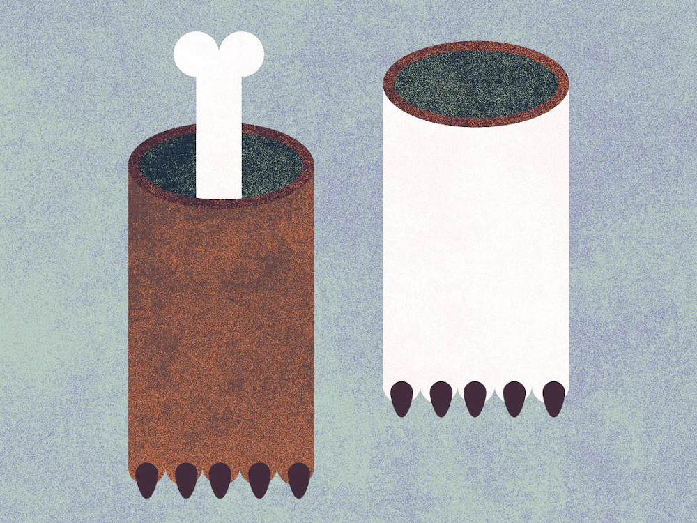 Schematische Illustration einer weißen Tatze und einer braunen Tatze, aus der ein Knochen ragt.