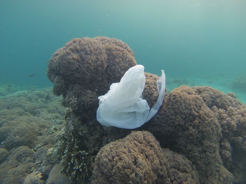 Plastik im Meer Bali Leibniz Magazin