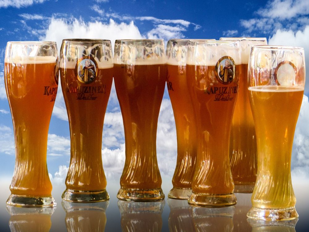 Biergläser Bier Leibniz Magazin